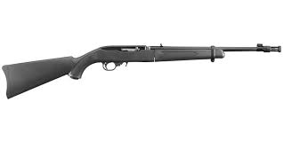 Ruger 10/22
